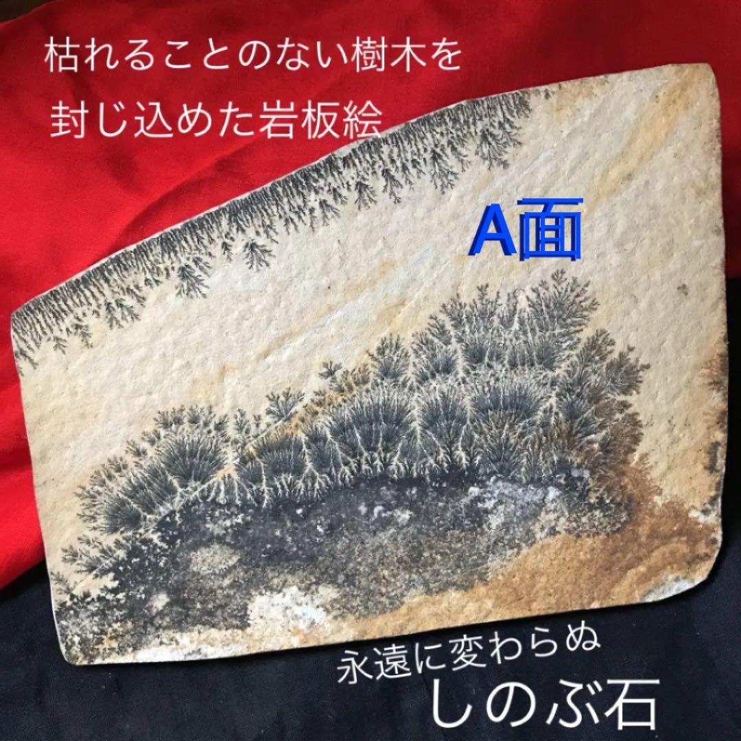 永久に枯れない樹木を封じ込めた石　樹形石(しのぶ石)  Dendrite