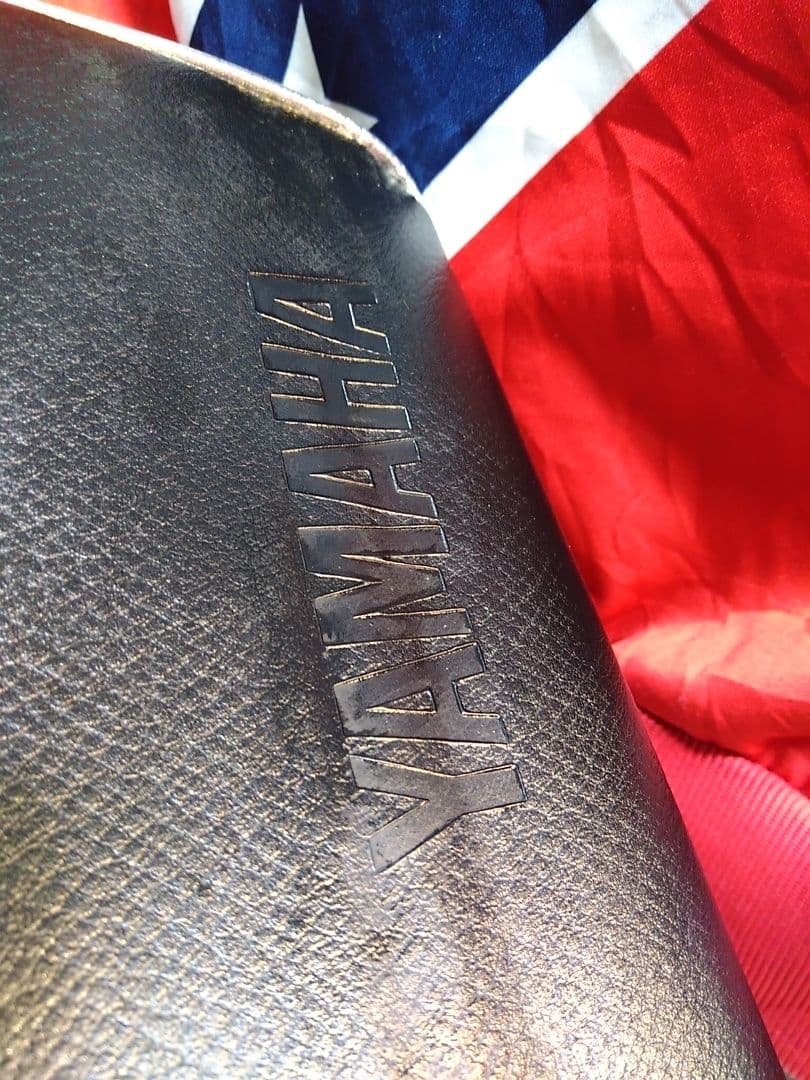 【綺麗な音色即演奏可】Yamaha ソプラノ アコーディオン S-25B 25鍵