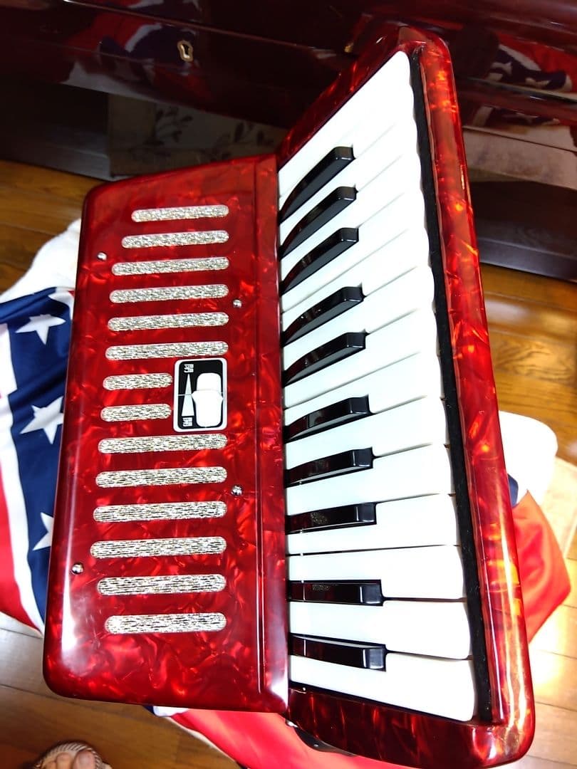 【綺麗な音色即演奏可】Yamaha ソプラノ アコーディオン S-25B 25鍵