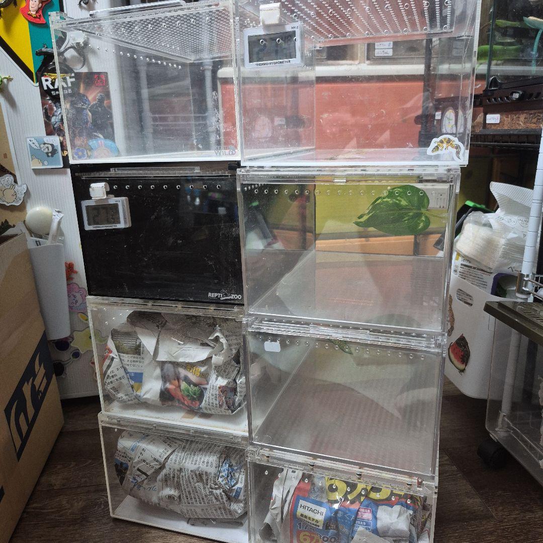 セール中 中古レプタイルボックス8個セット
