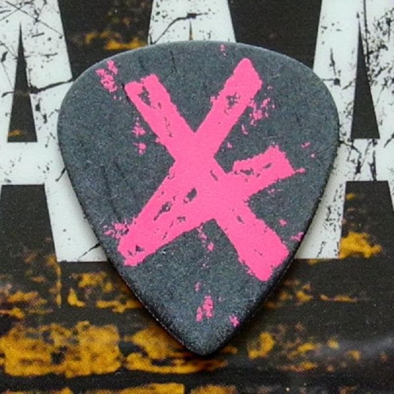 ONE OK ROCK ワンオクロック サウスアメリカ AAAパス ギターピック