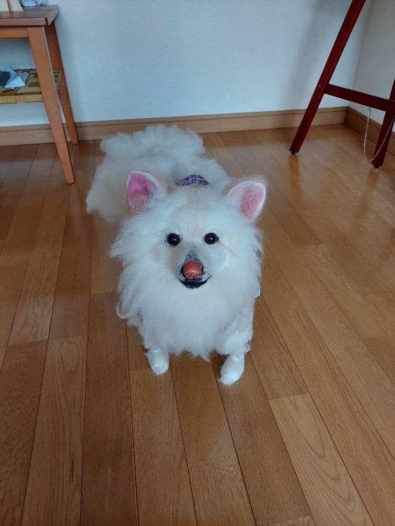 うちの子オーダー　ほぼ原寸大ポメラニアン