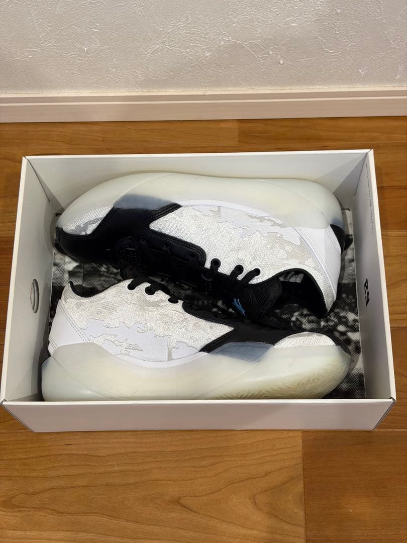 AIR JORDAN 39 PF エアジョーダン 39