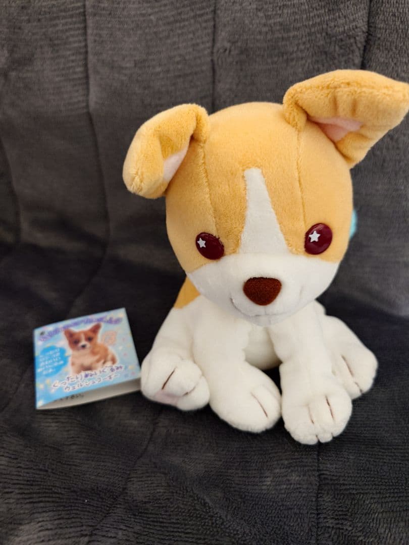 わんわんわんこ　わんこ天使　くったりぬいぐるみ　ウェルシュコーギー　サンエックス