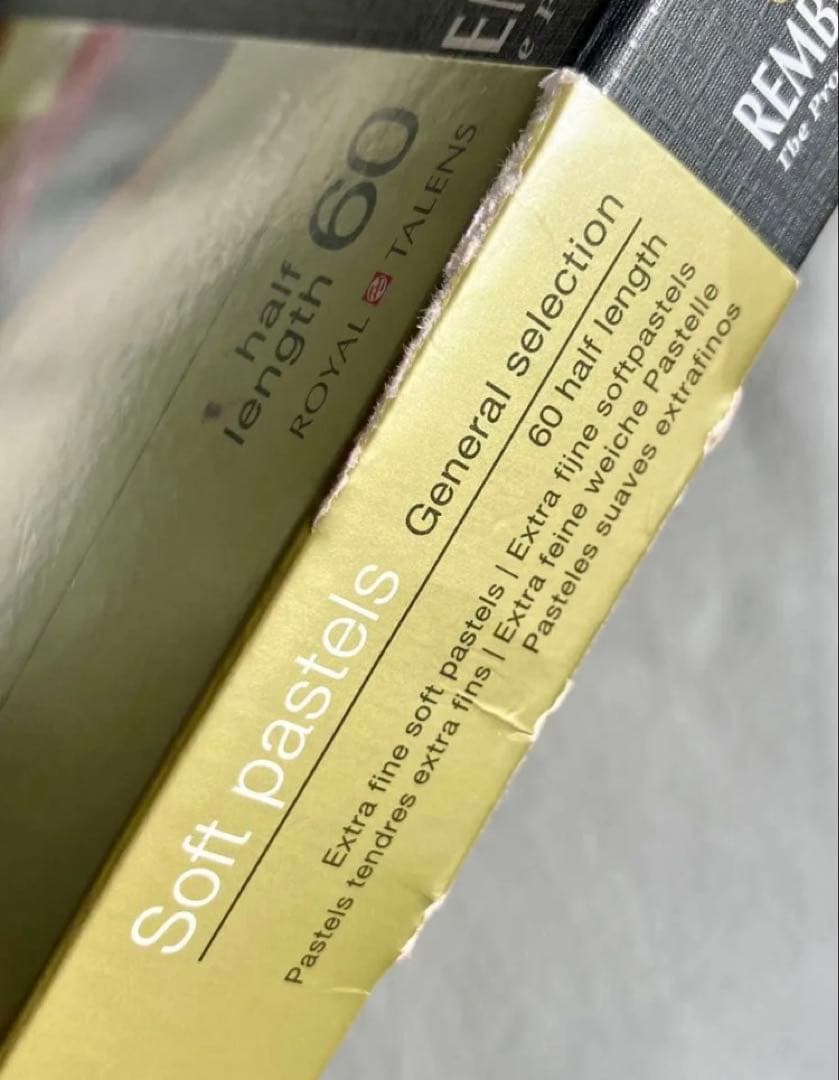 ほぼ新品☆ターレンス レンブラント ソフトパステル ハーフスティック 60色