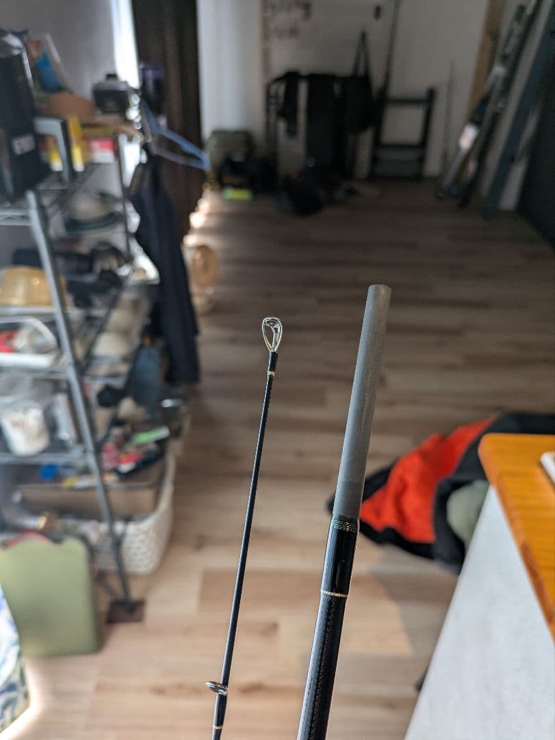 極美品 EARLY 99ml for surf