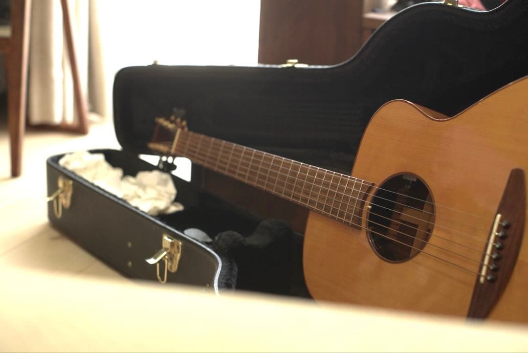 baden ギター　A style ベーデン　ハードケース付