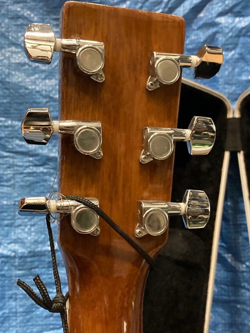 ギター Johnson EST.1993 electro-acoustic guitar