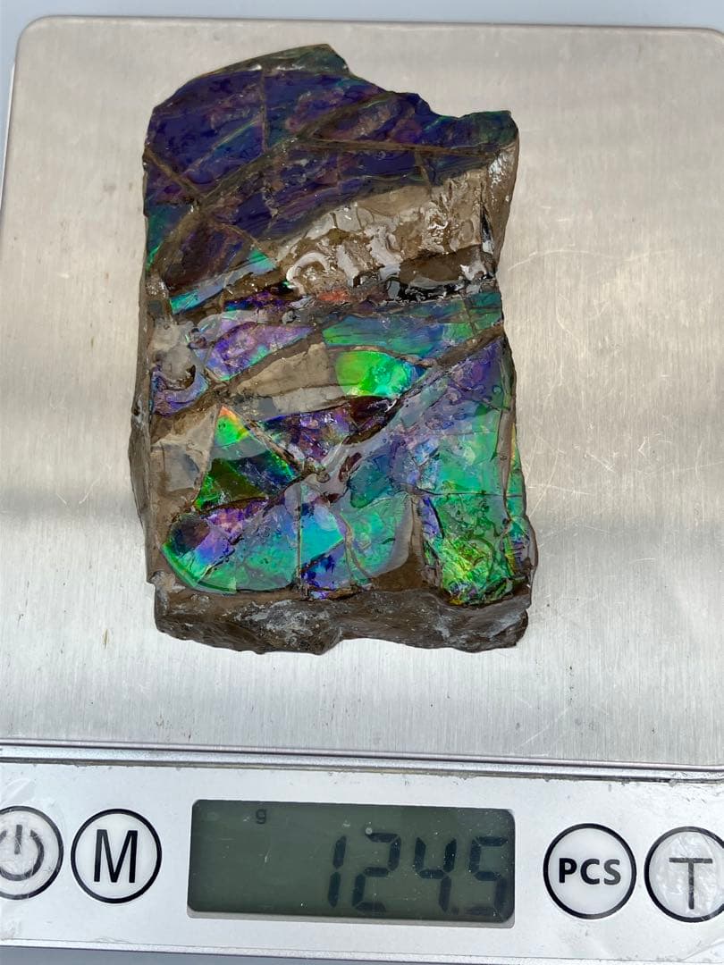 化石　原石　アンモライト　アンモナイト　幅7.7cm カナダ産　箱付き