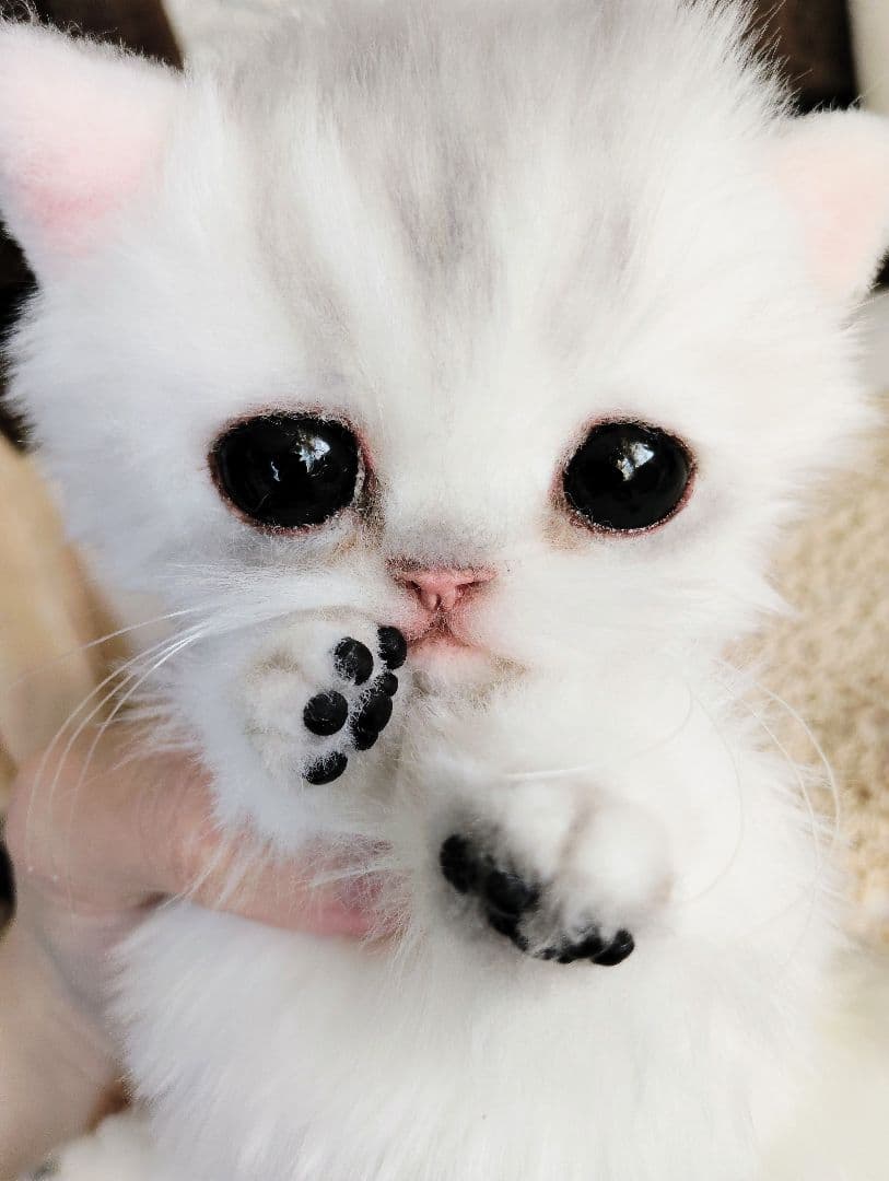 チンチラシルバー♡子猫のララちゃん♡アートドール♡ぬいぐるみ♡