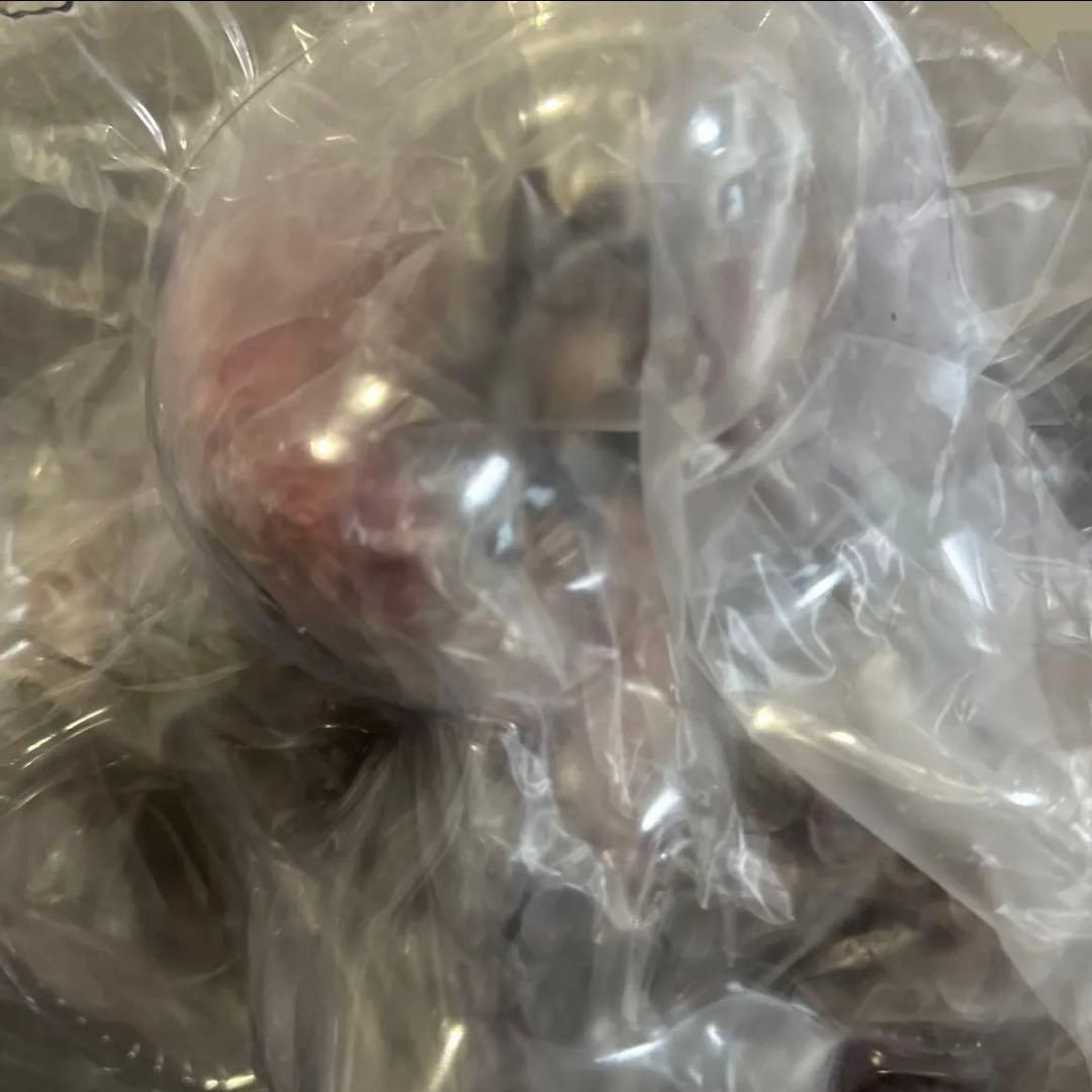 Fate/Grand Order クーフーリンオルタ フィギュア　1/7スケール