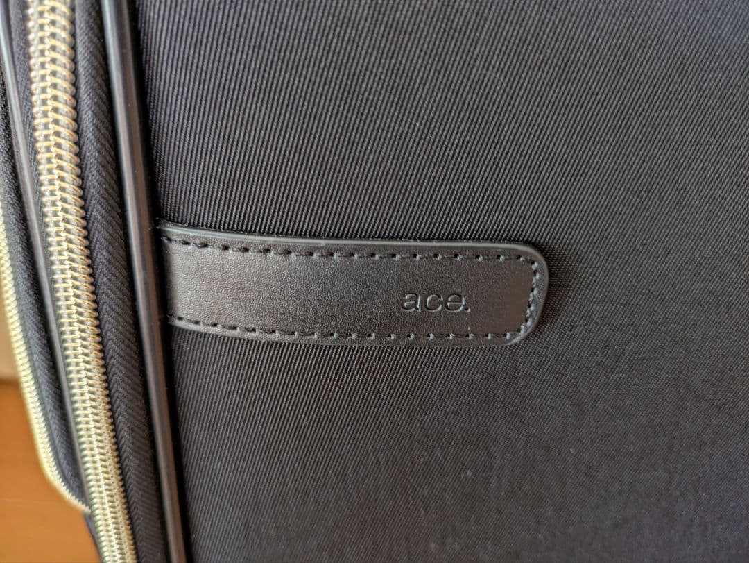 ✩ace✩ソフトキャリーグリッテリー