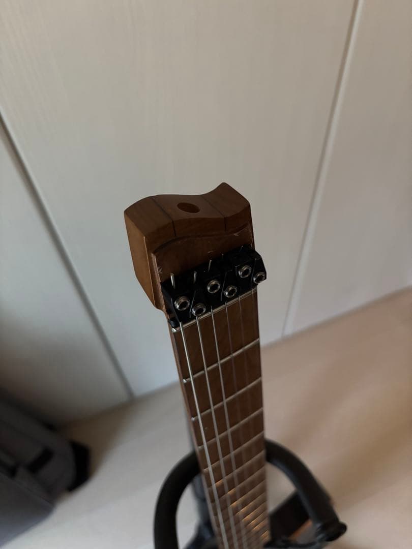 ギター strandberg BODEN STANDARD