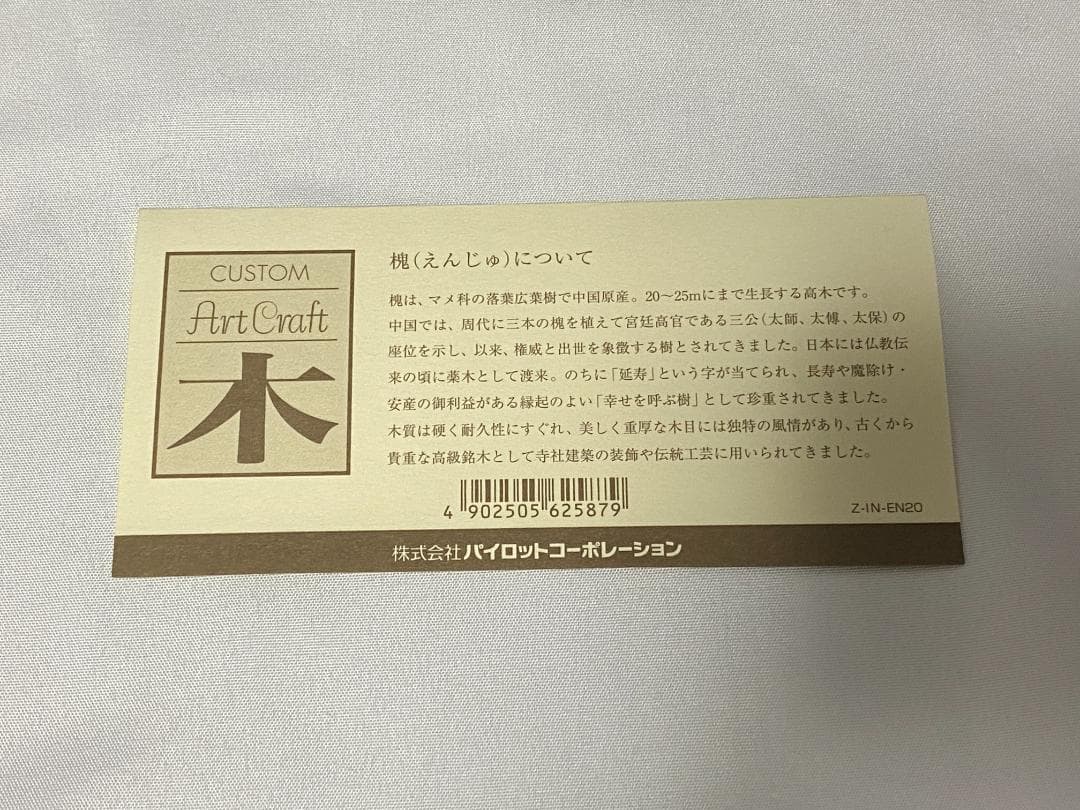 PILOT 万年筆 カスタム槐 ペン種 M