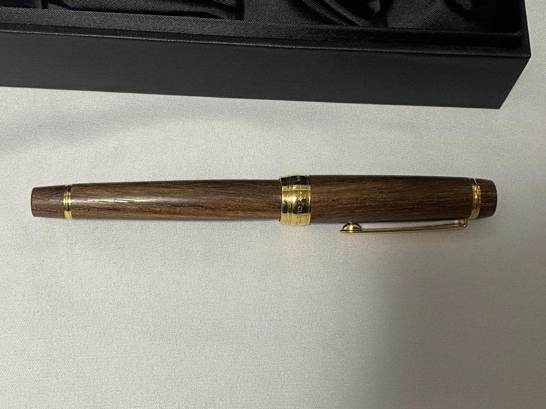 PILOT 万年筆 カスタム槐 ペン種 M