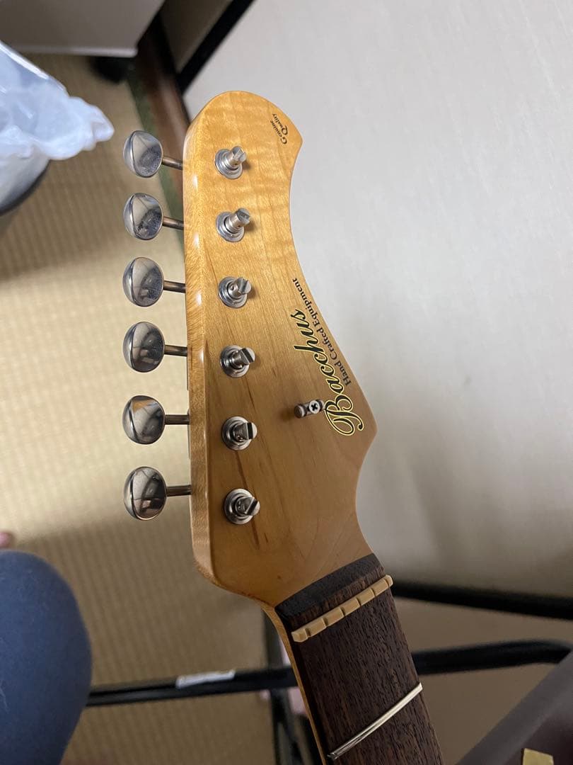 Bacchus GlobalストラトMod (ゴトーペグ、ctsポット)