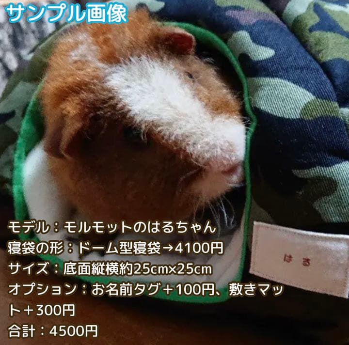 〜サンプル画像〜