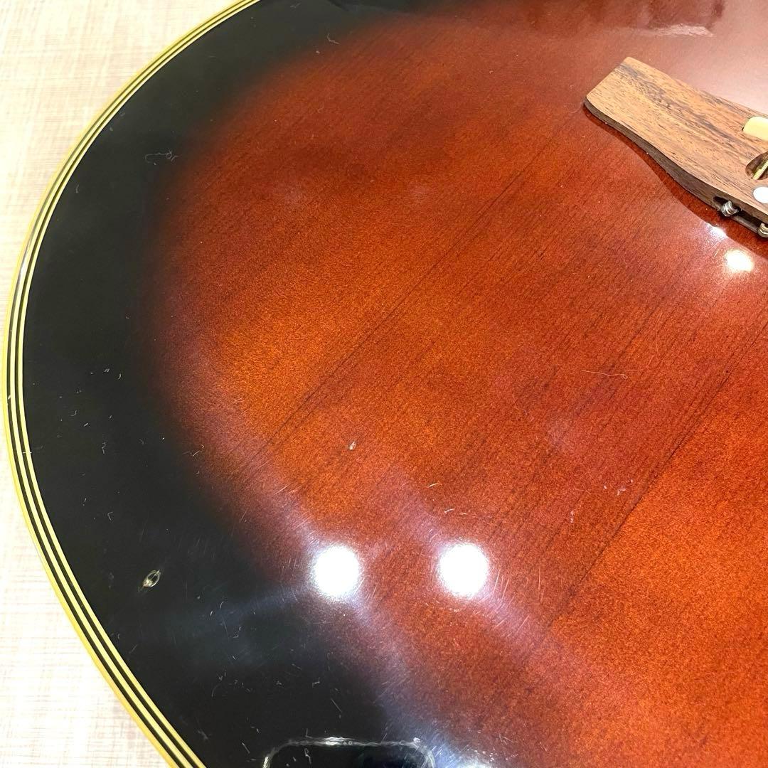 【希少】Pro Martin エレアコ EA350 カッタウェイ サンバースト