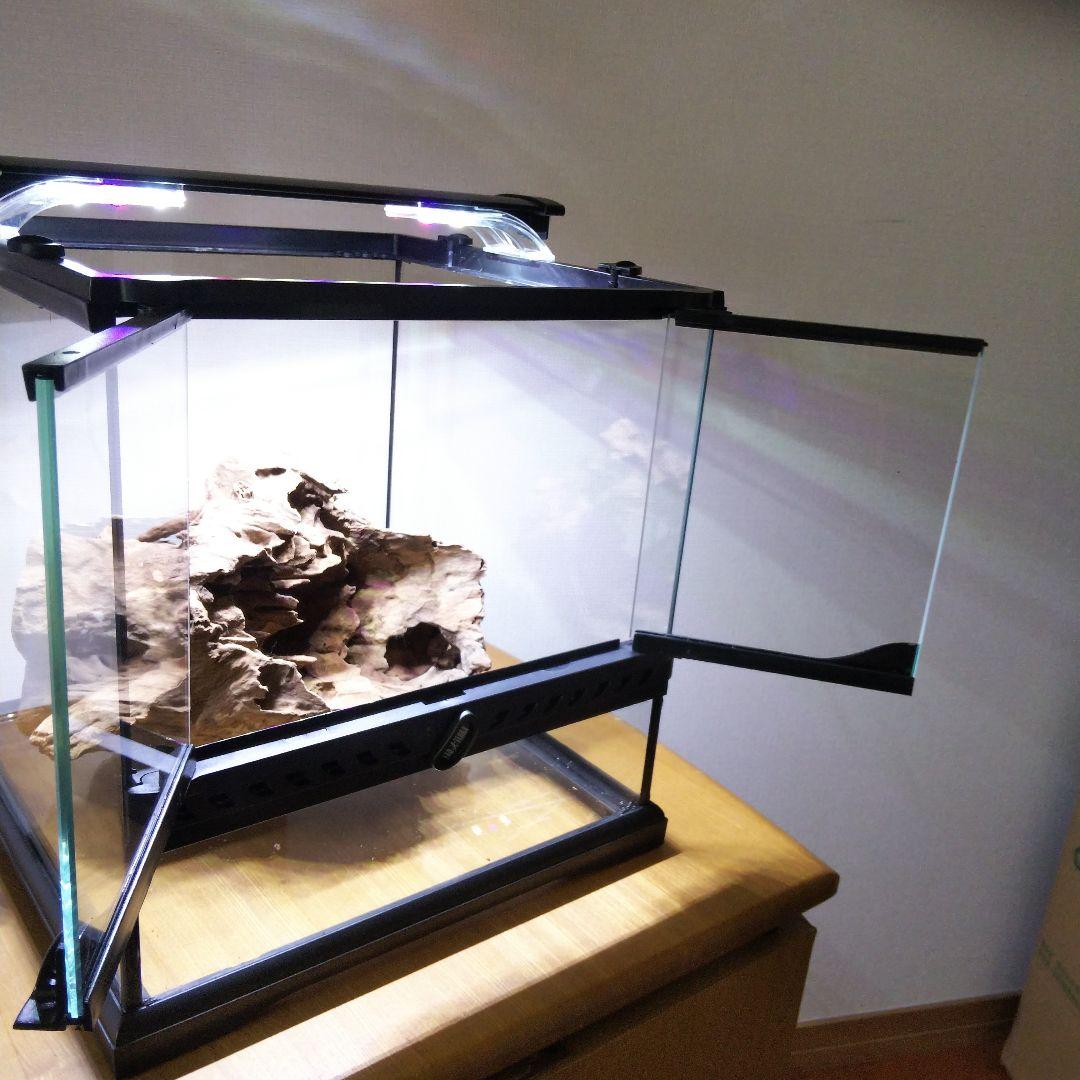 フトアゴヒゲトカゲ飼育　爬虫類飼育ケージ