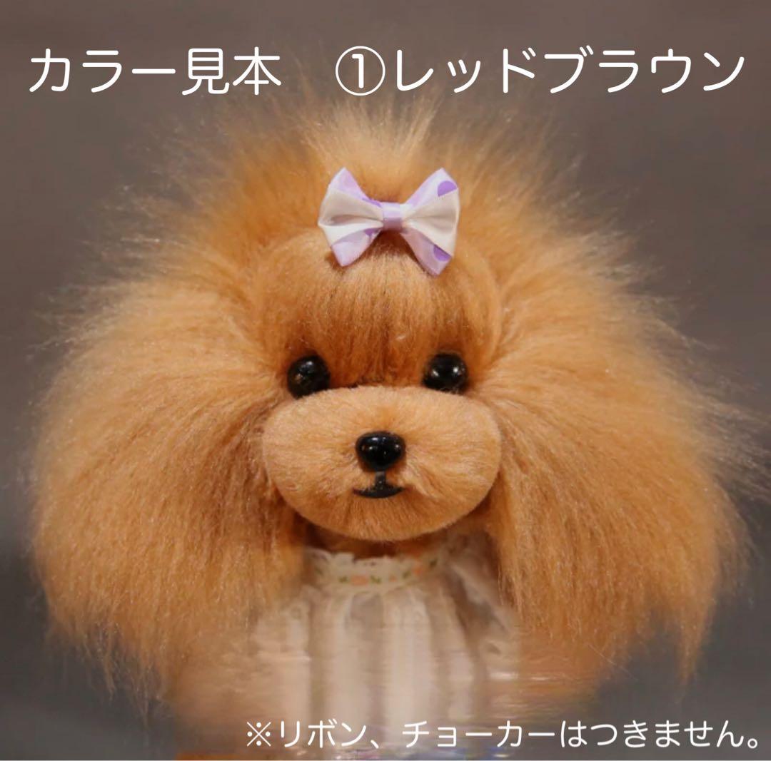 ウィッグ１０個セット