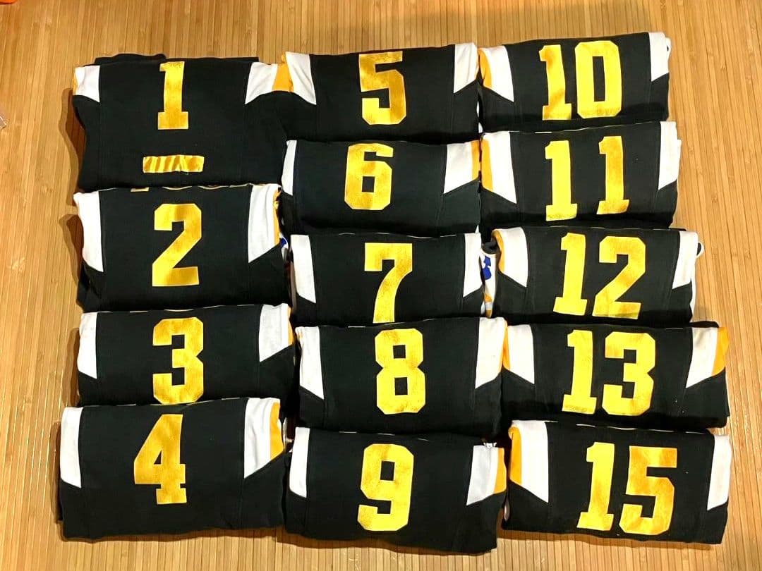 バレーボール チームユニフォーム 長袖 レディース 14着 M L アシックス