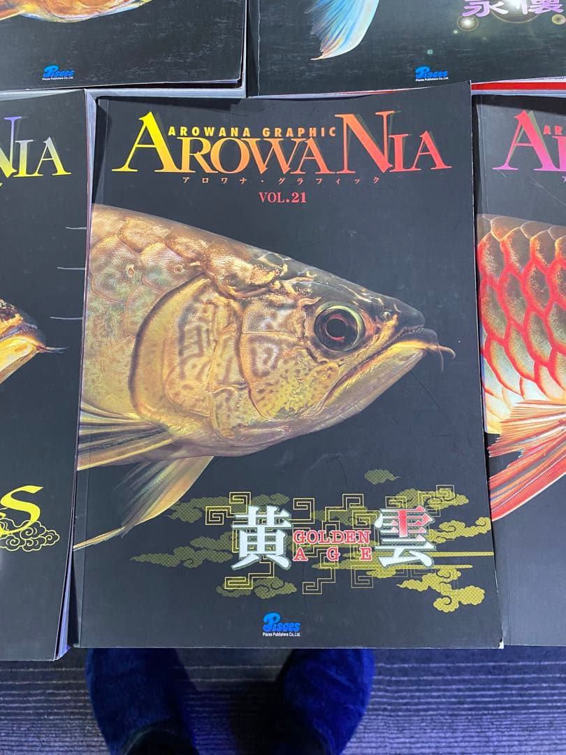 アロアナグラフィック　各種
