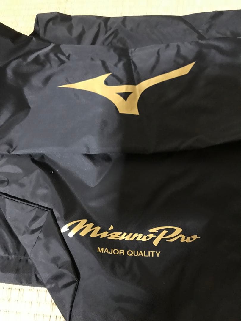 ミズノプロキャッチャー防具一式