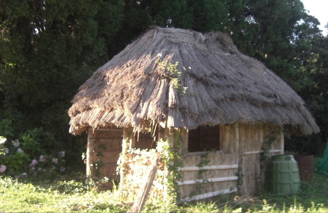 CASIO EXILIM EX-Z1050 デジカメ