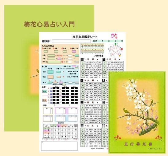 【人気再出品！】梅花心易入門＆五行梅花易カードセット