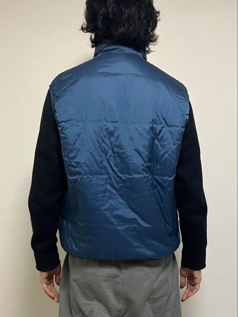 patagonia ベスト usa