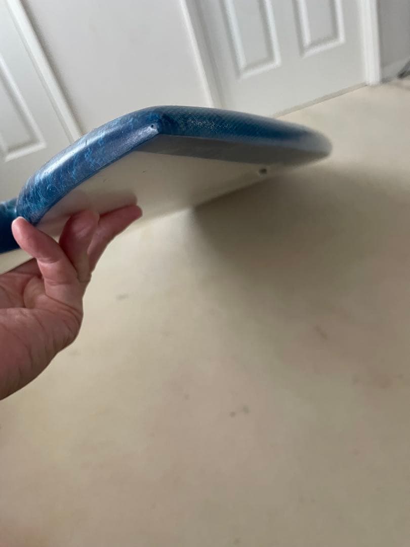 DEAD KOOKS Riches RF 5'6\" デッドクークス　フィッシュ