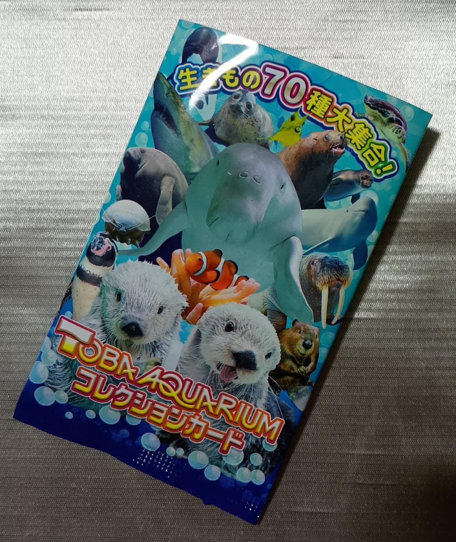 【レアカード】鳥羽水族館　コレクションカード　セイウチ　ツララ　ポウ