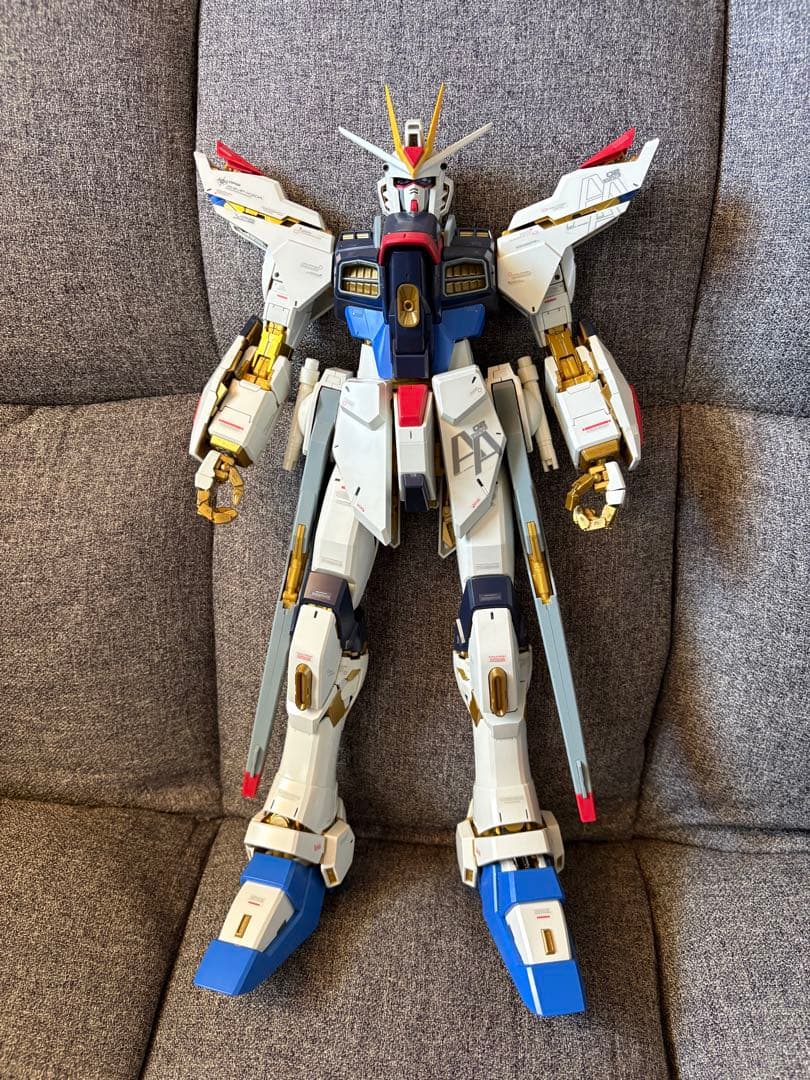 PG ストライクフリーダムガンダム　ジャンク品