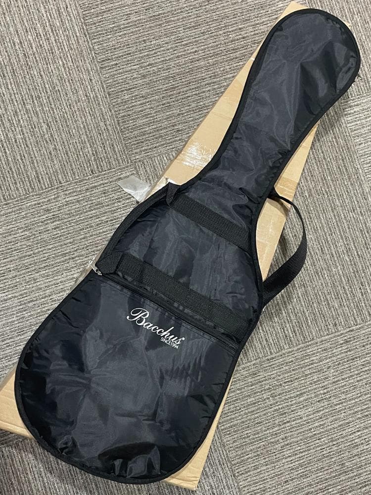 【未使用】Bacchus/バッカス BTE-1/RSM サンバースト