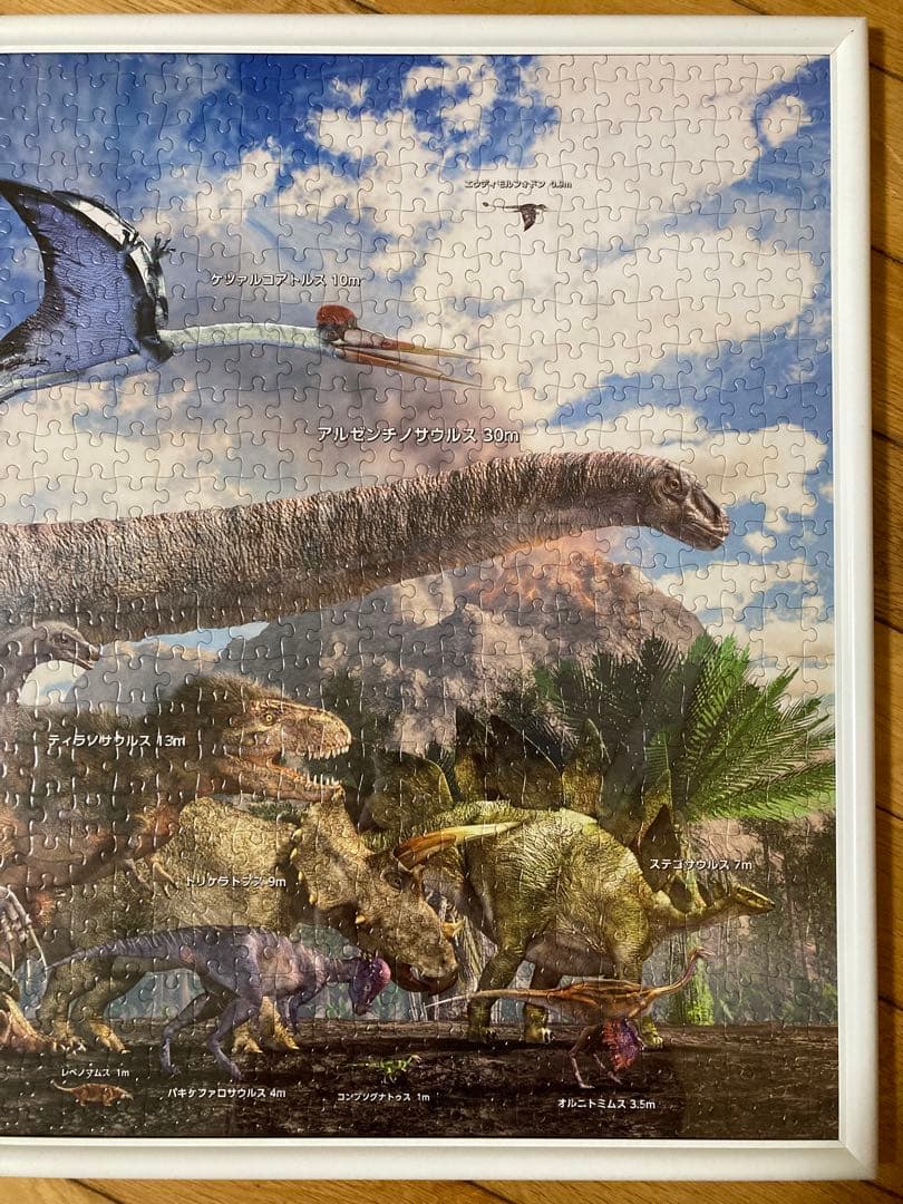 千P①恐竜ジグソーパズル　プテラノドン他17体　アルミ額50×74㎝完成品極美品
