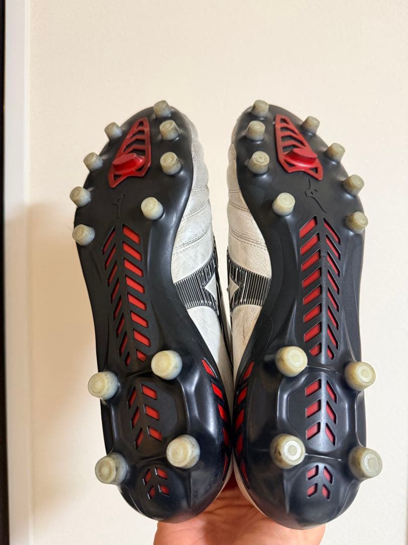 モレリアネオIII 28cm