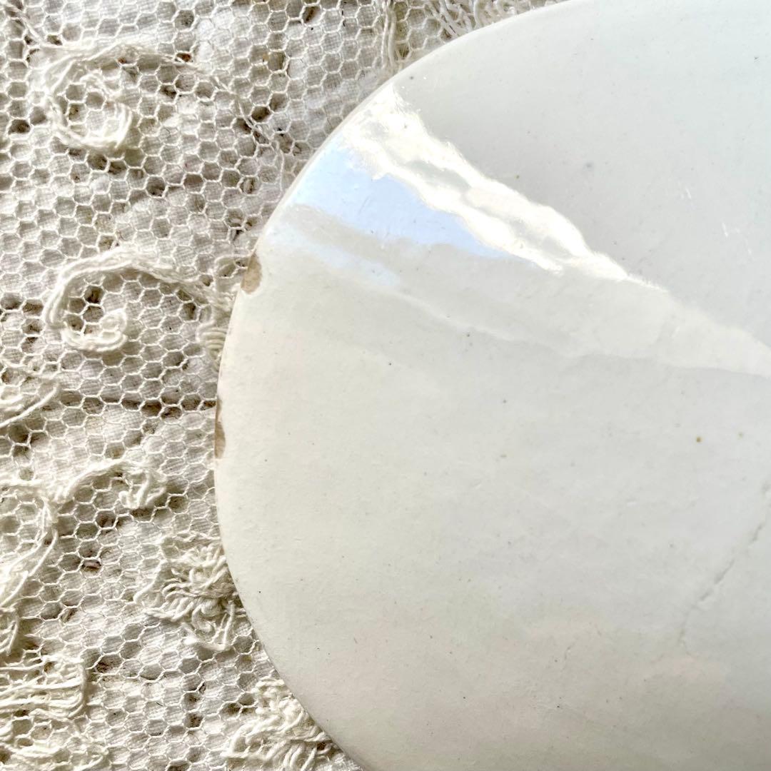 ロンウィ　小鳥と野ばらのラヴィエ Mignon Longwyフランスアンティーク