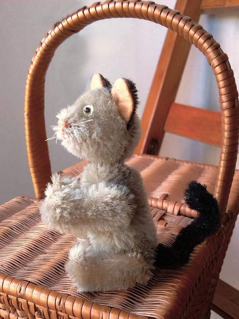 ガラス目の灰色猫さん　耳黒　シュコー　グレーキャット　ノアの箱舟シリーズ