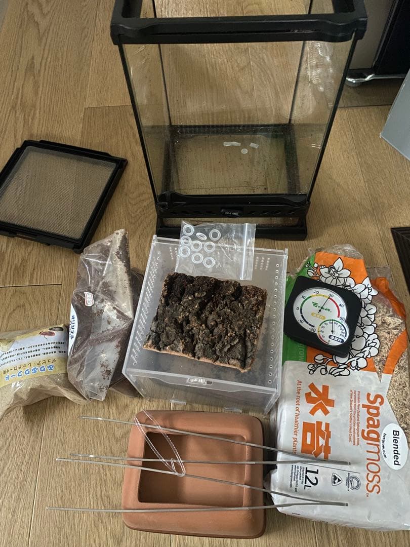 エキゾテトラ　グラステラリウムナノ PT2601