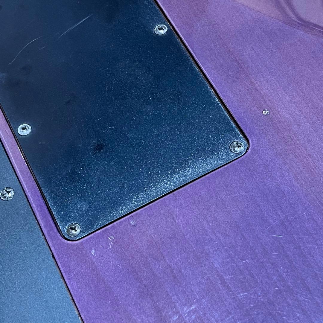 m*n様 Chatting Bird by Caparison ディンキータイプ