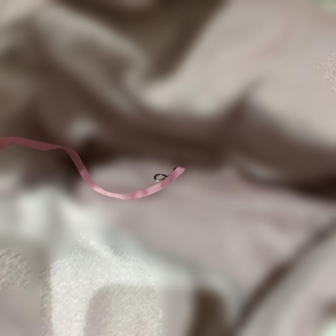 サーカスサーカス　キャリーバッグ