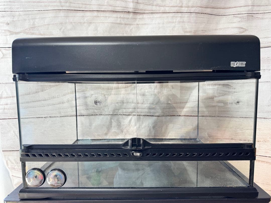 （最終価格）GEX エキゾテラ グラステラリウム 6030 ＋ コンパクトトップ