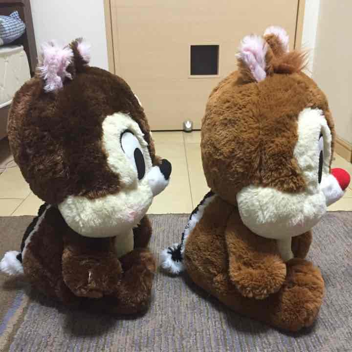 ディズニー限定 激レア 2点のみ