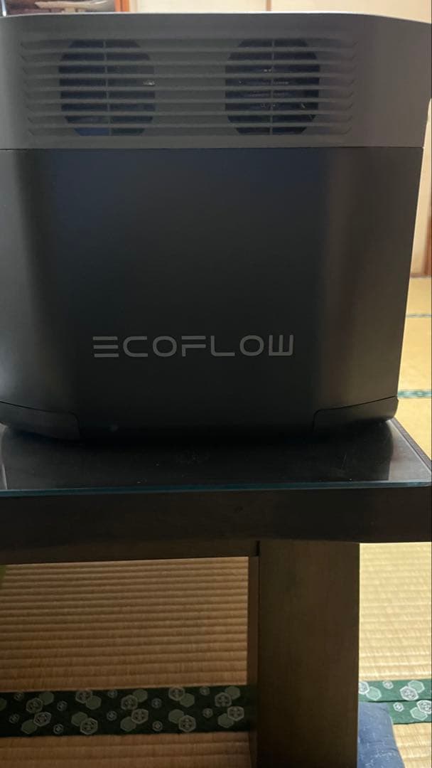 発電機・ポータブル電源 EcoFlow DELTA 2