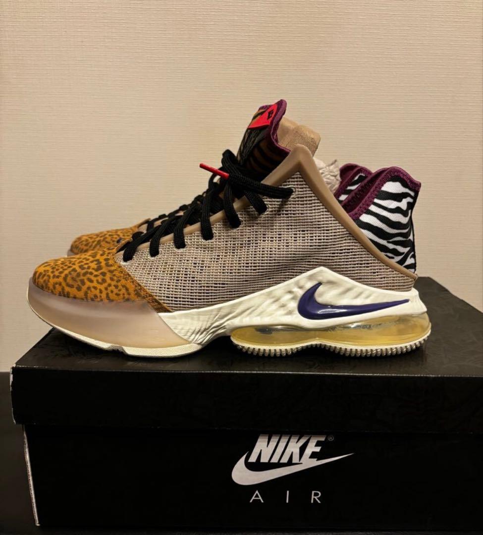 レブロン　lebron 19 NIKE バッシュ　ナイキ　ジョーダン　30cm