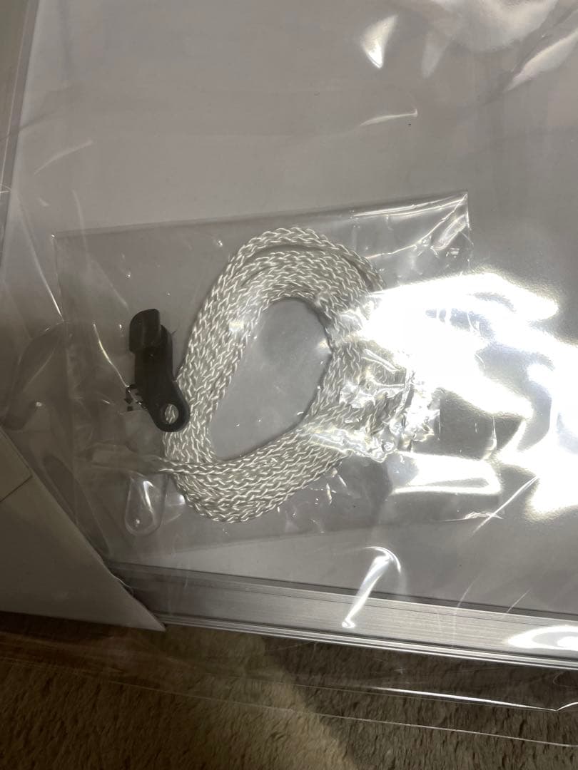 タイガース選手 モノクロ写真 A4サイズ岡田彰布さん