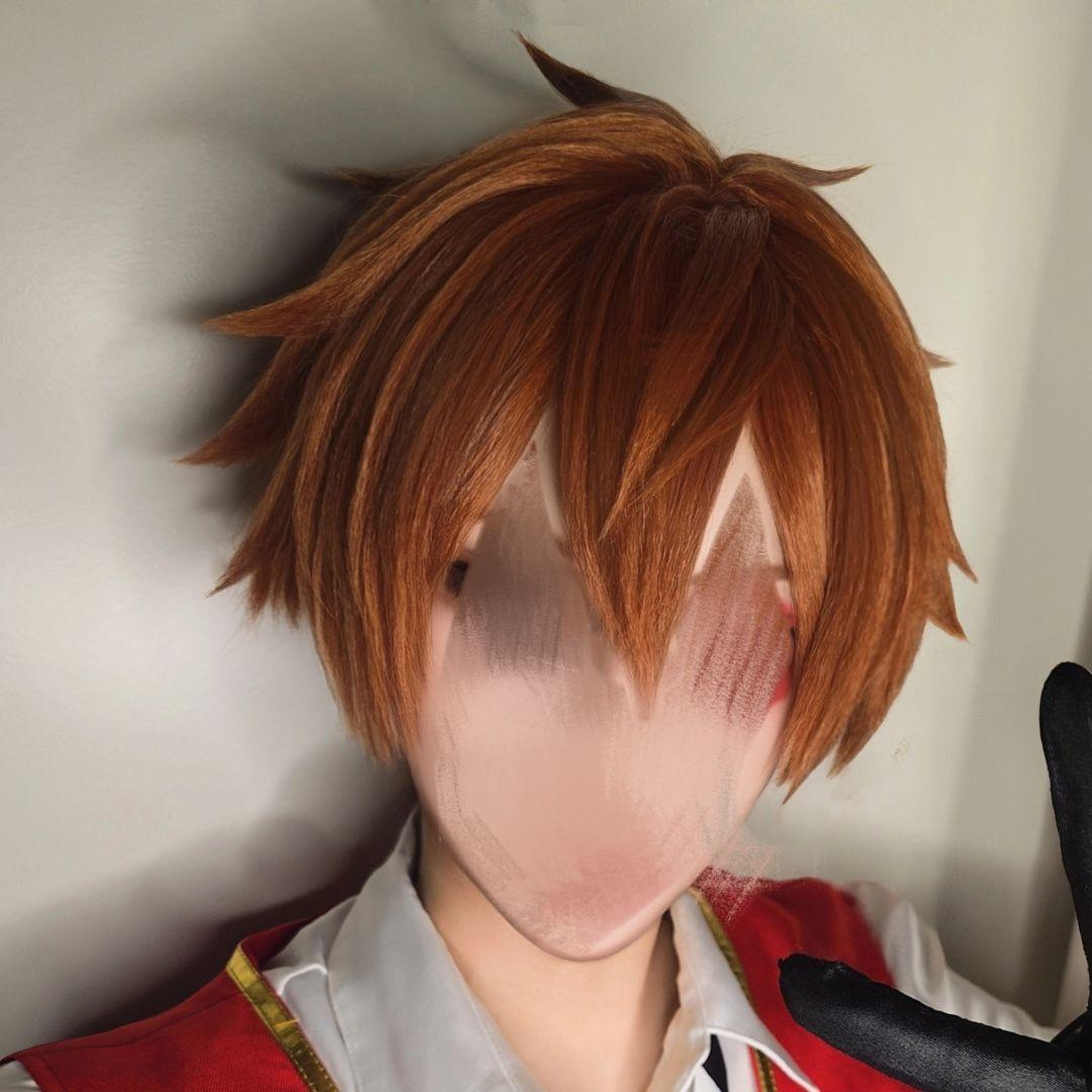 2/8までお値下げ中 ツイステッドワンダーランド エース・トラッポラ ウィッグ