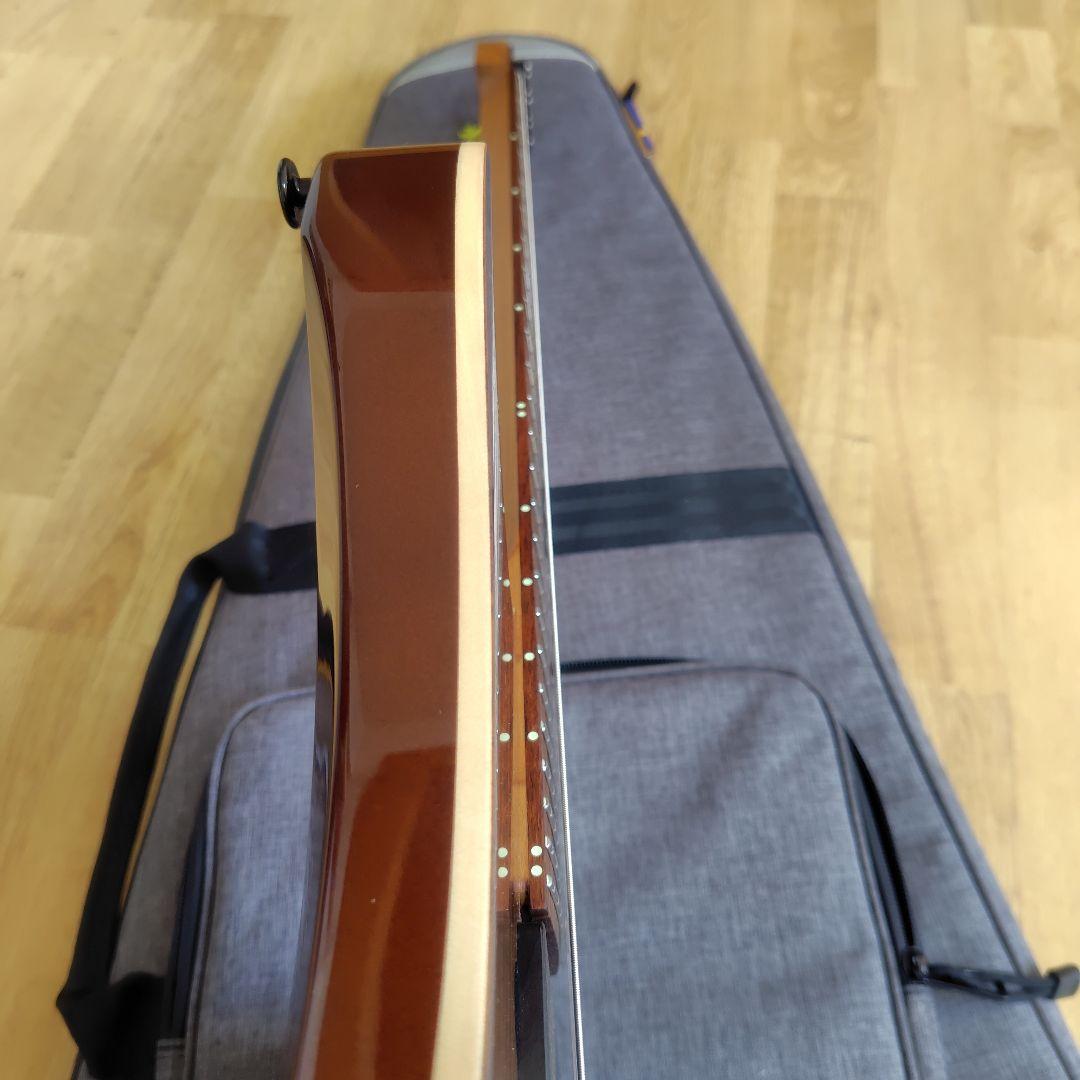 strandberg Boden J7 Standard Special 7弦