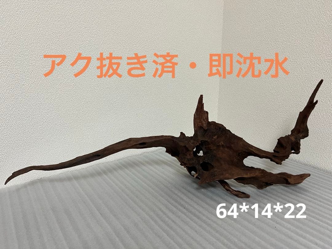 HX-100流木　マシンガンウッド　ホーンウッド アクアリウム　ブランチウッド