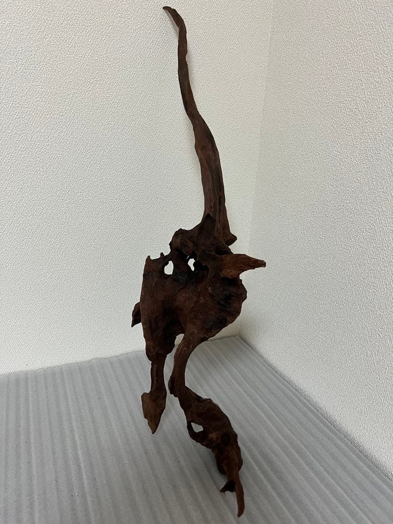 HX-100流木　マシンガンウッド　ホーンウッド アクアリウム　ブランチウッド